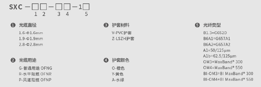 246蓝月亮精选二四六资料
