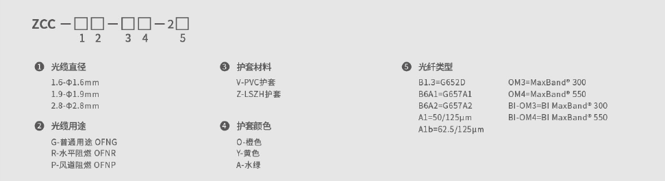 246蓝月亮精选二四六资料