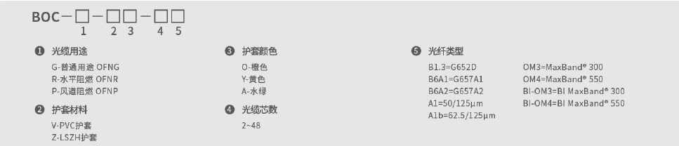 246蓝月亮精选二四六资料