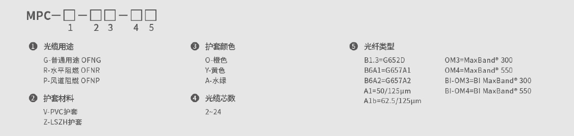 246蓝月亮精选二四六资料