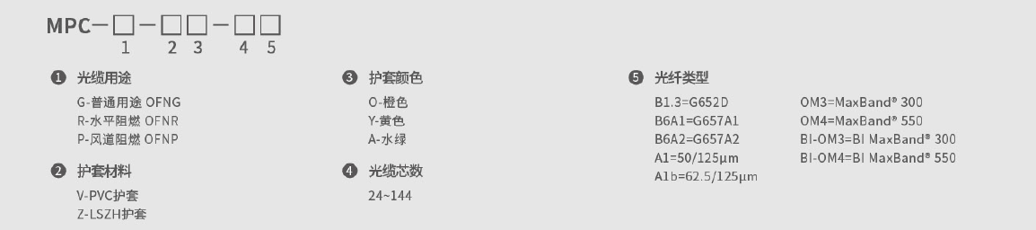 246蓝月亮精选二四六资料