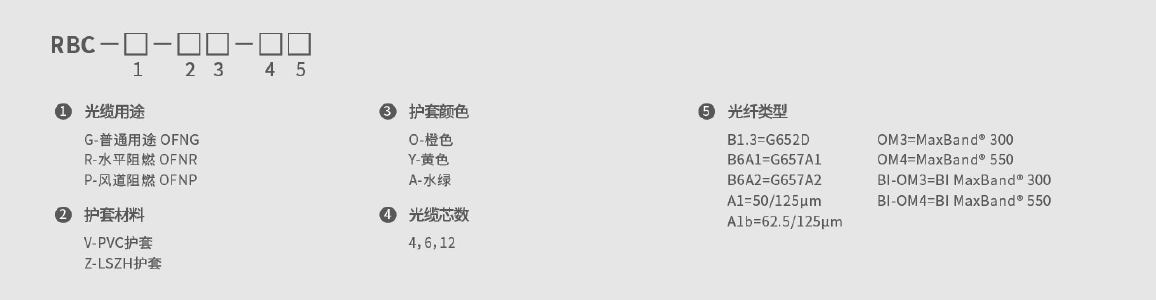 246蓝月亮精选二四六资料