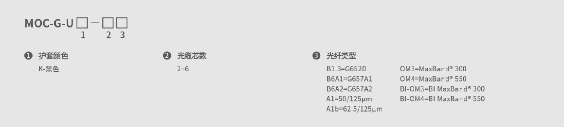 246蓝月亮精选二四六资料