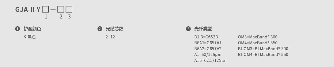 246蓝月亮精选二四六资料