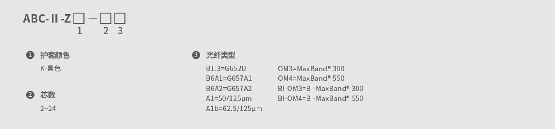 246蓝月亮精选二四六资料