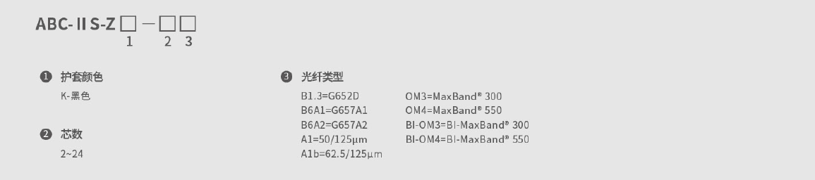 246蓝月亮精选二四六资料