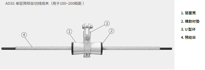 246蓝月亮精选二四六资料