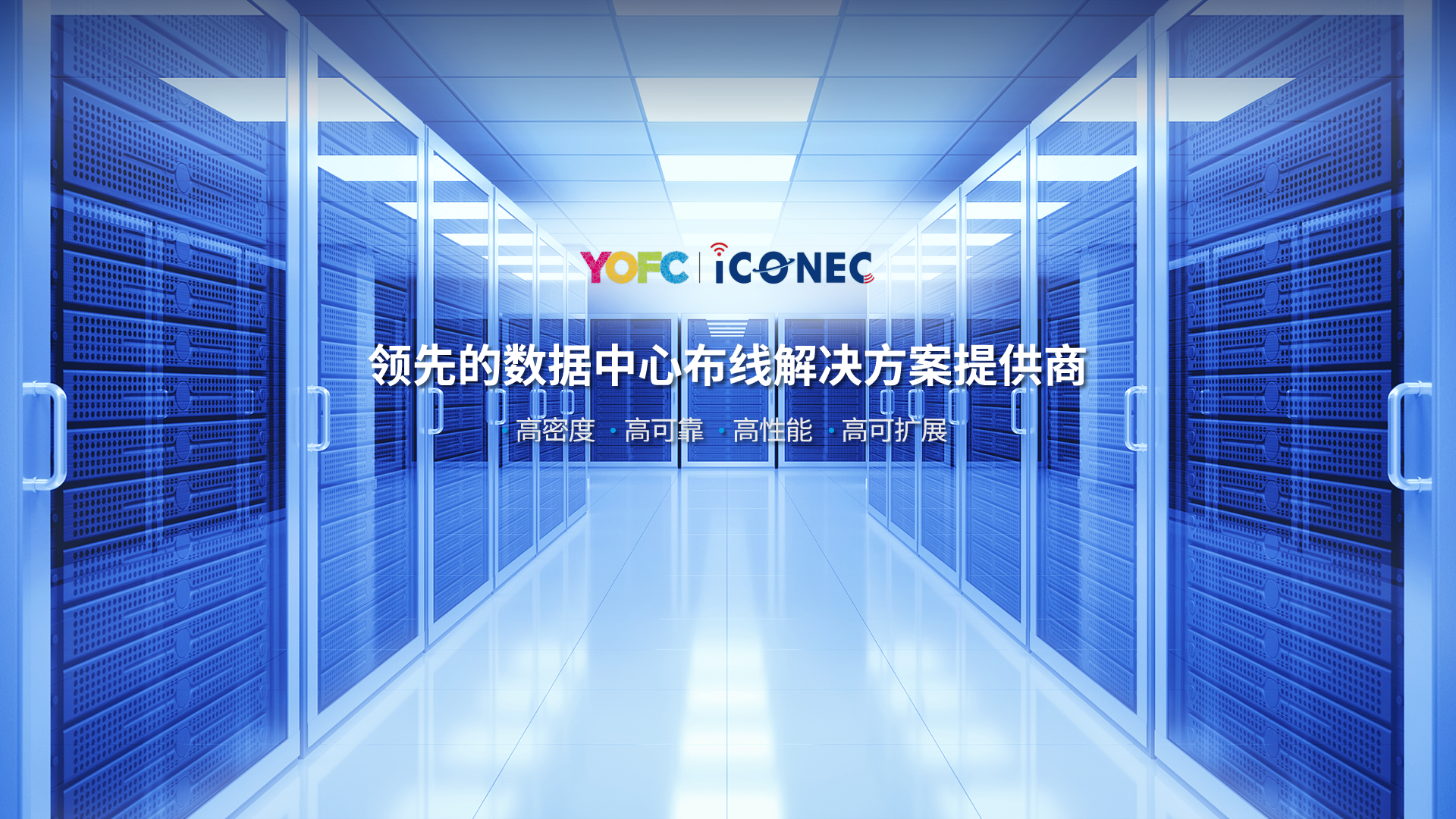246蓝月亮精选二四六资料