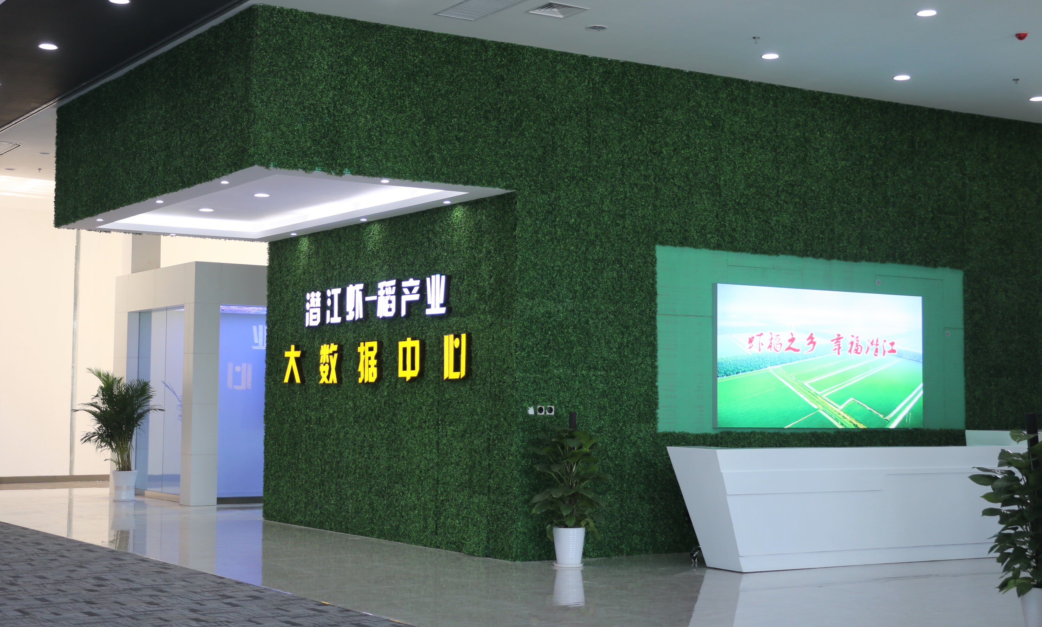 246蓝月亮精选二四六资料