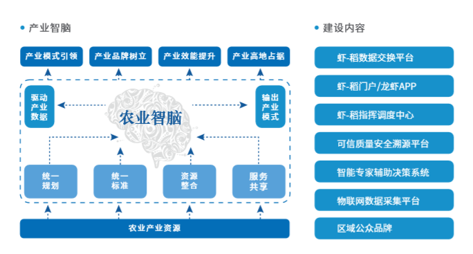 246蓝月亮精选二四六资料
