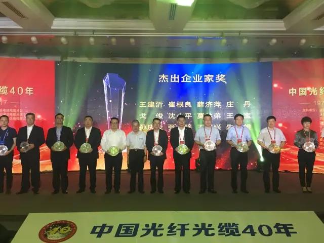 246蓝月亮精选二四六资料