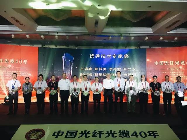 246蓝月亮精选二四六资料
