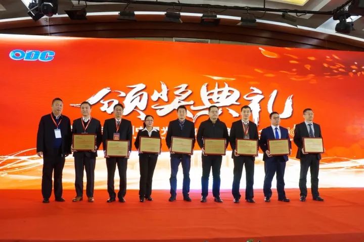 246蓝月亮精选二四六资料